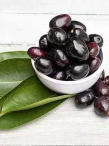 indian-super-food-jamun