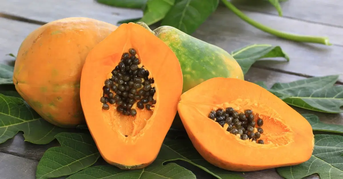 Papaya Works for Diabetes